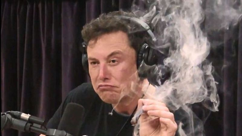 Elon Musk dismisses claims drug use is causing alarm at Tesla and SpaceX